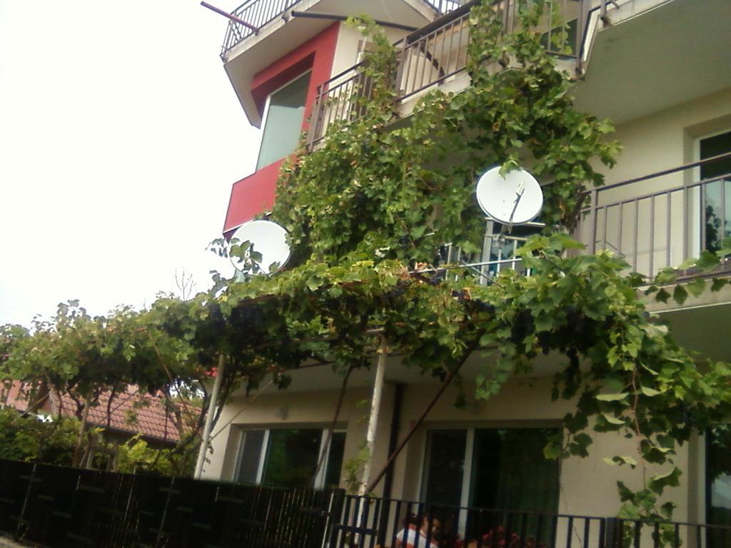 Villa Sunny Hill Fish Fish Exterior photo
